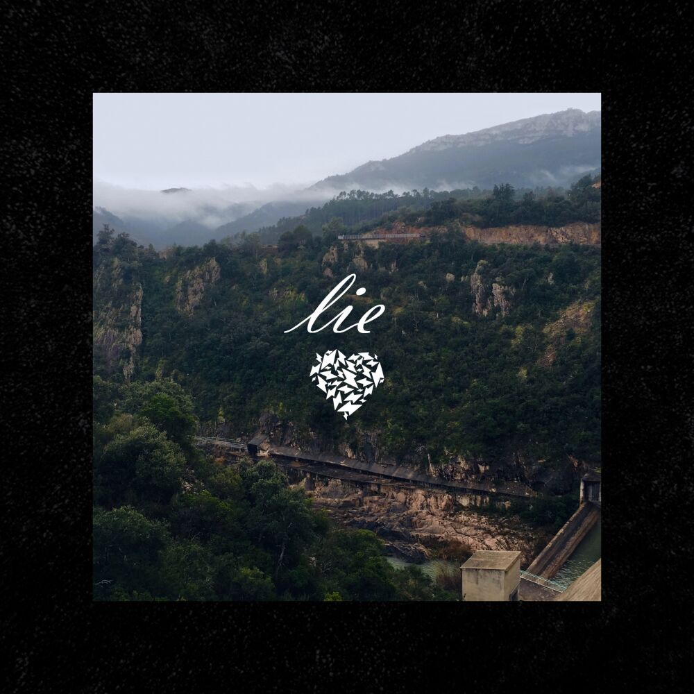 Picture of Lie