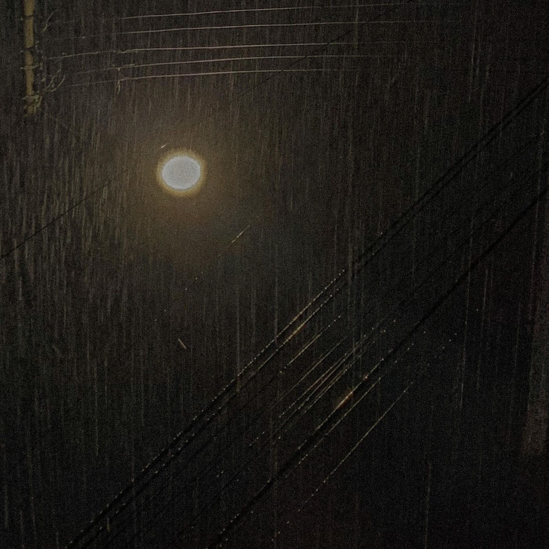 Album cover of otoño/invierno