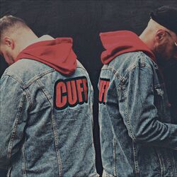 Cover of Bad Influence