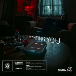 Cover of Wanting You