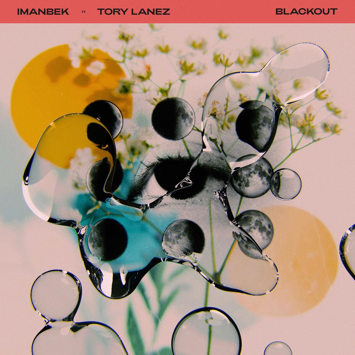 Album cover of Blackout (feat. Tory Lanez)