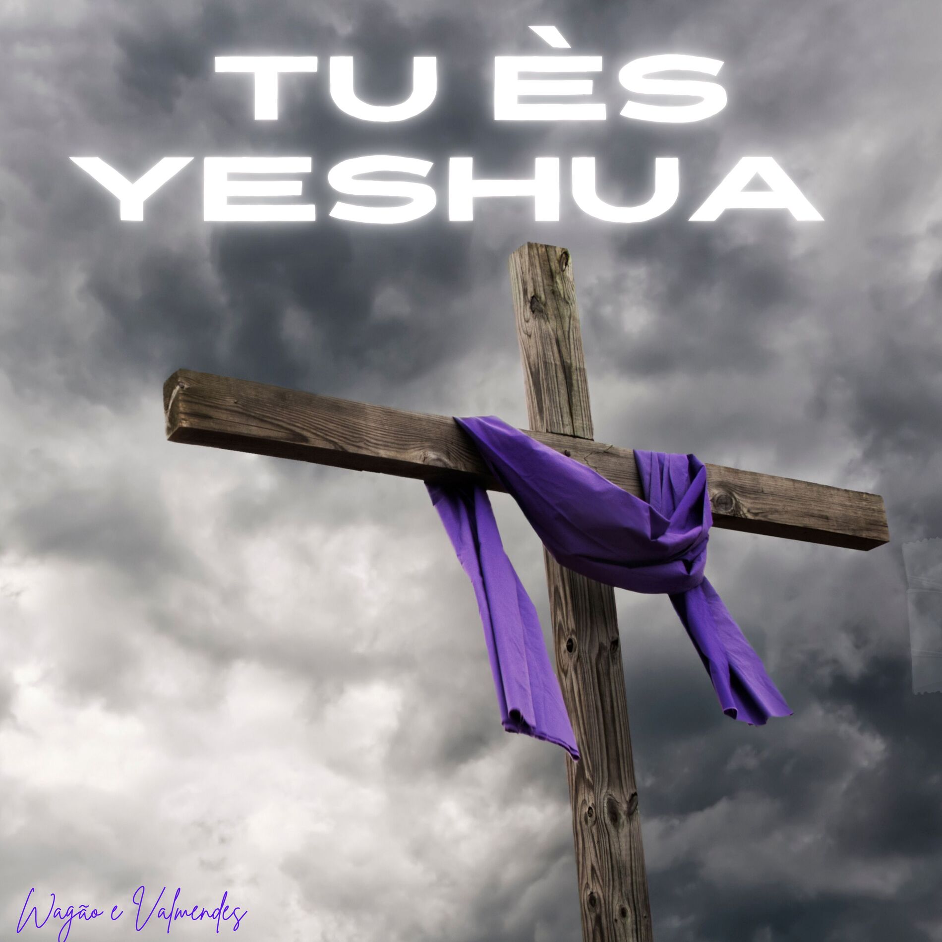 Album cover of Tu Ès Yeshua