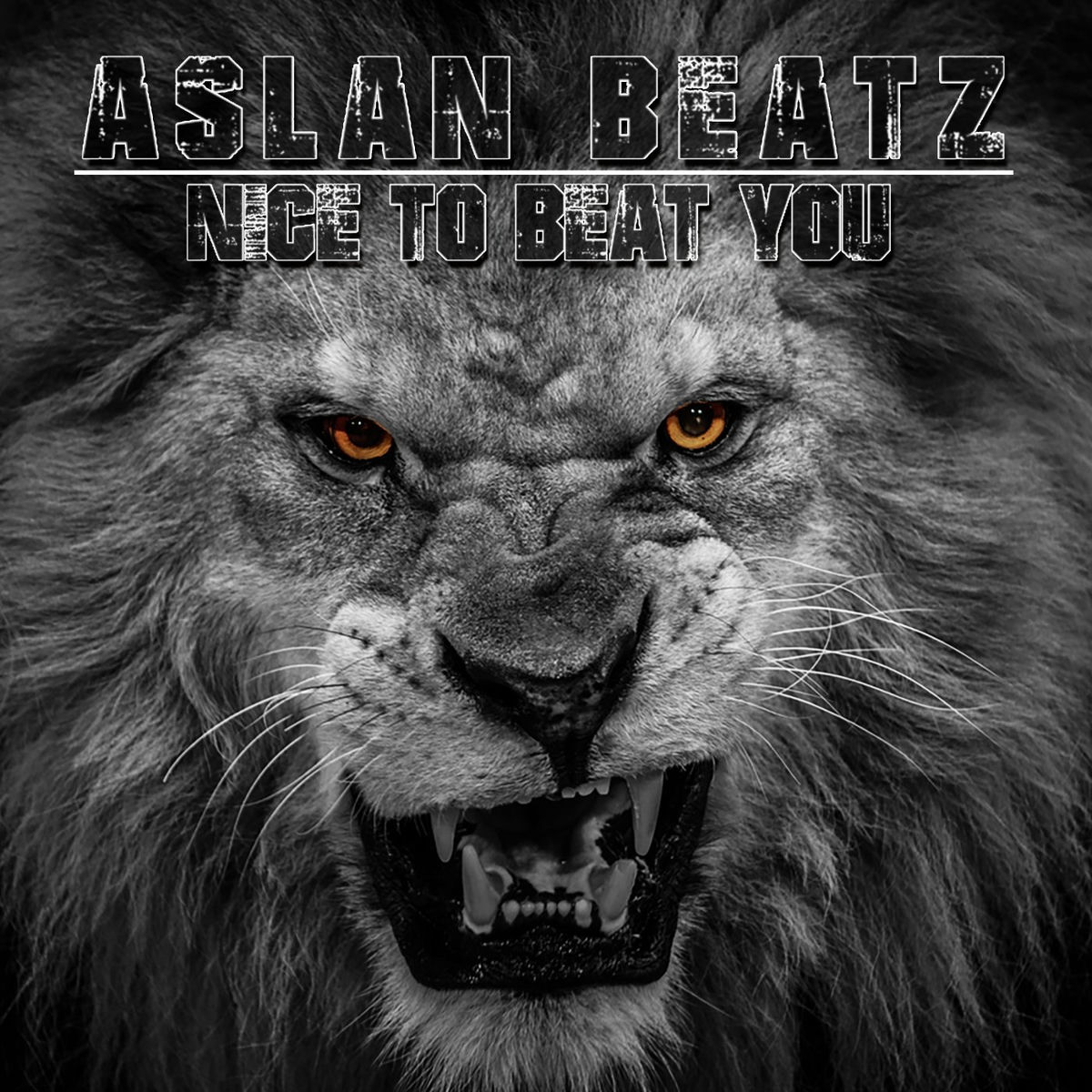 Album cover of Nice to Beat You