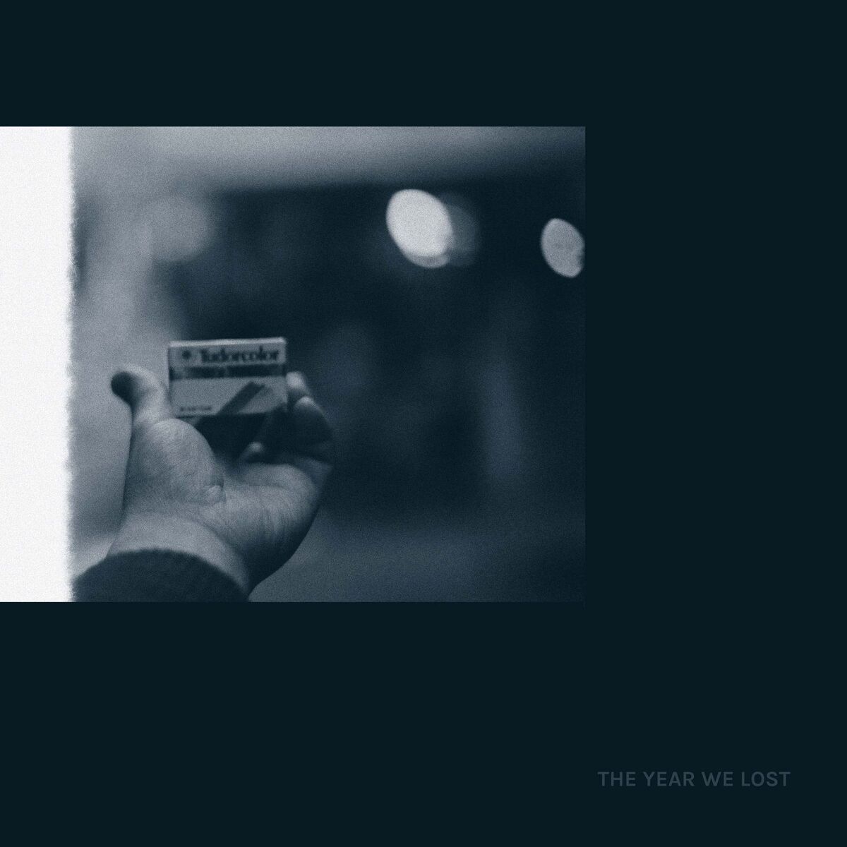 Album cover of The Year We Lost