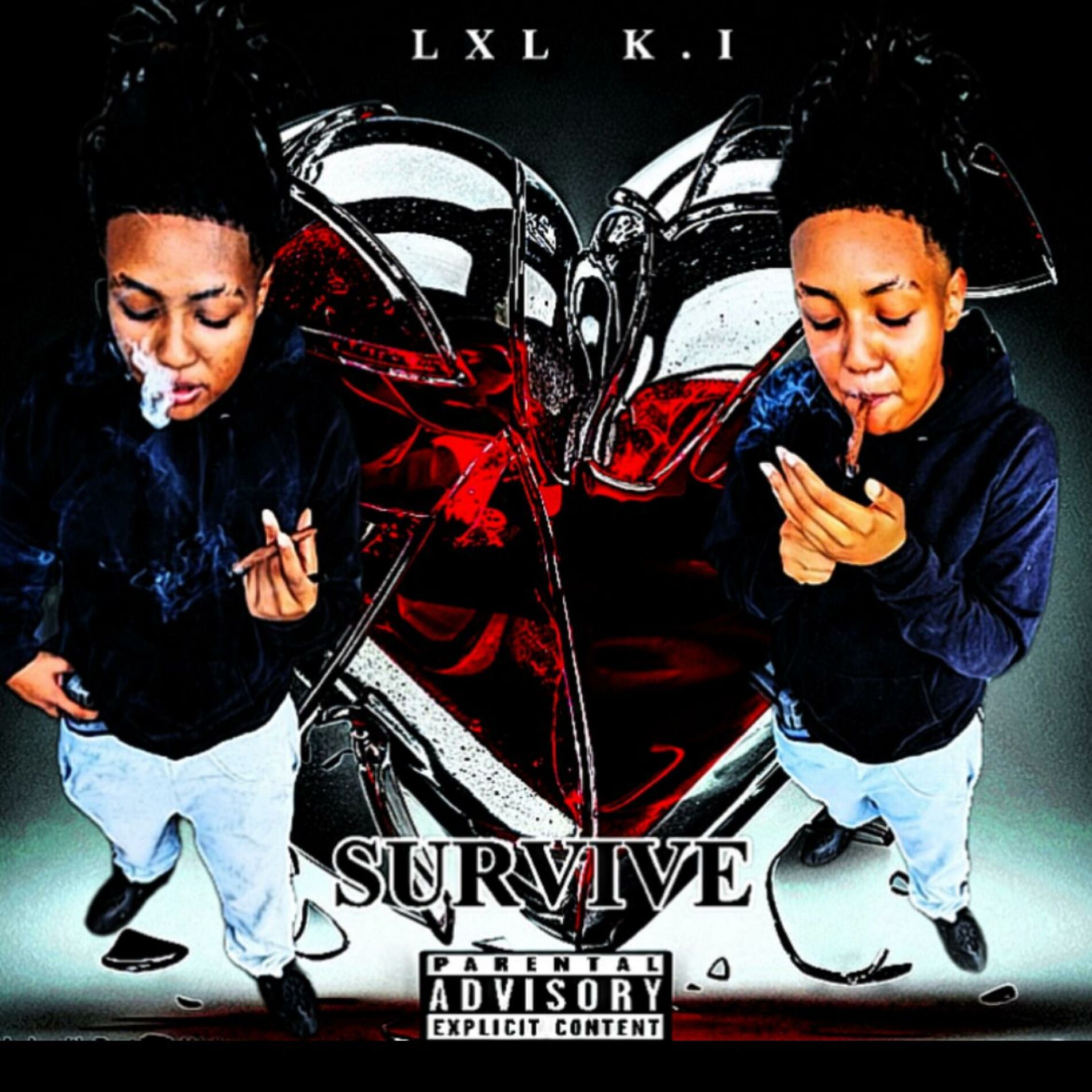 Album cover of Survive