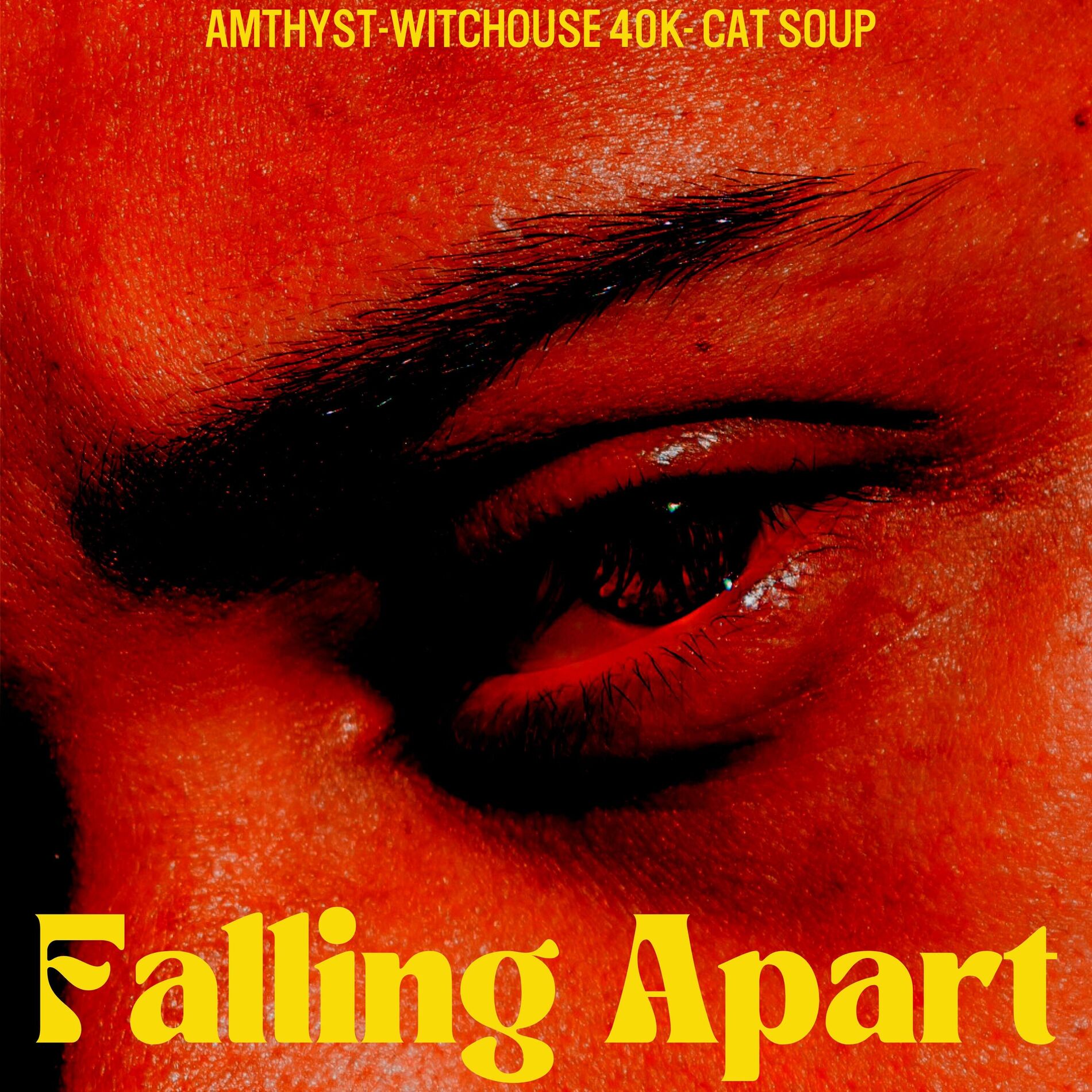 Album cover of Falling Apart (feat. Witchouse 40k & Cat Soup)
