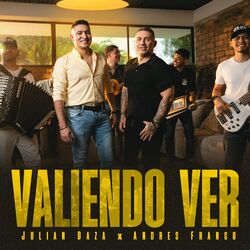 Cover of Valiendo Ver