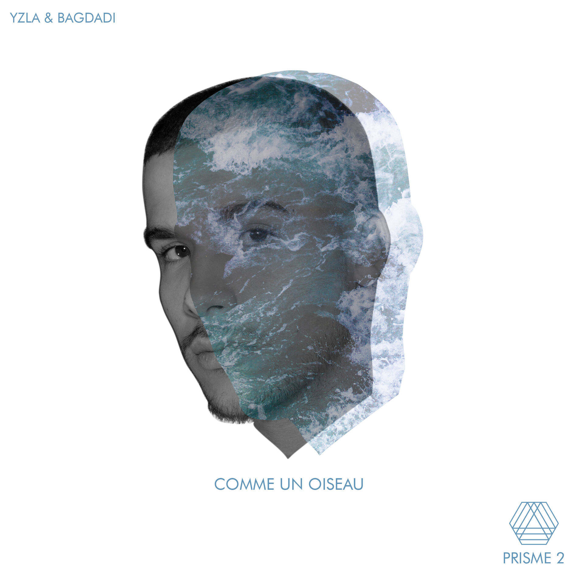 Album cover of Comme un oiseau (Prisme 2)