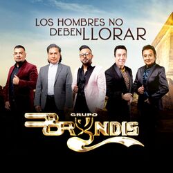 Cover of Los Hombres No Deben Llorar