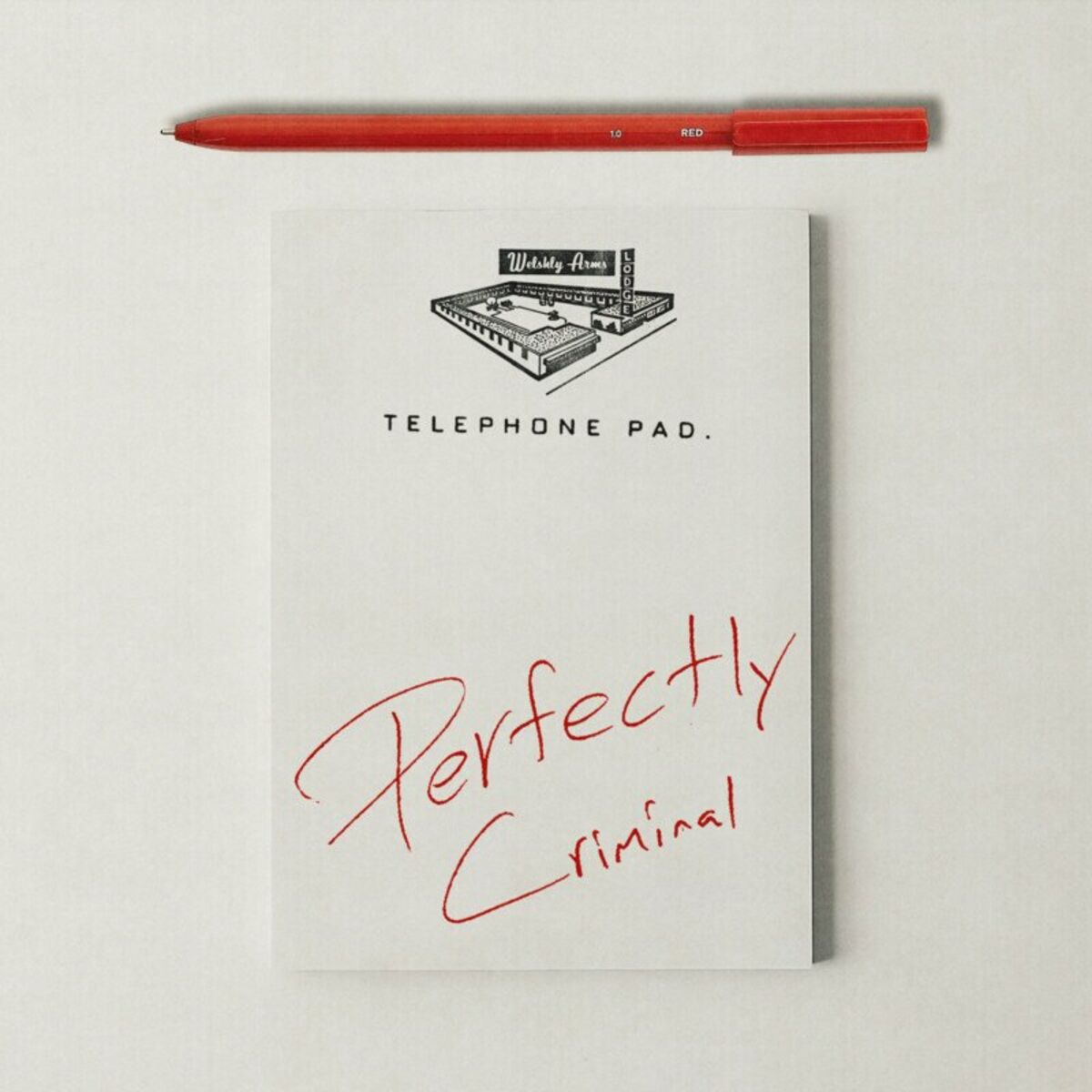 Album cover of Perfectly Criminal