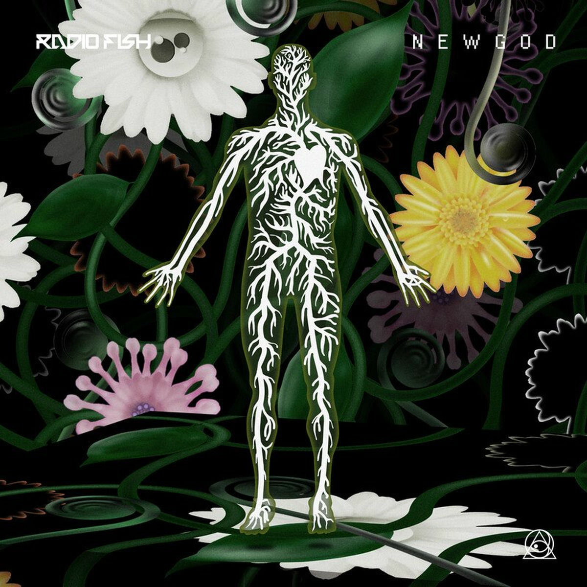 RADIO FISH: albums, songs, concerts | Deezer