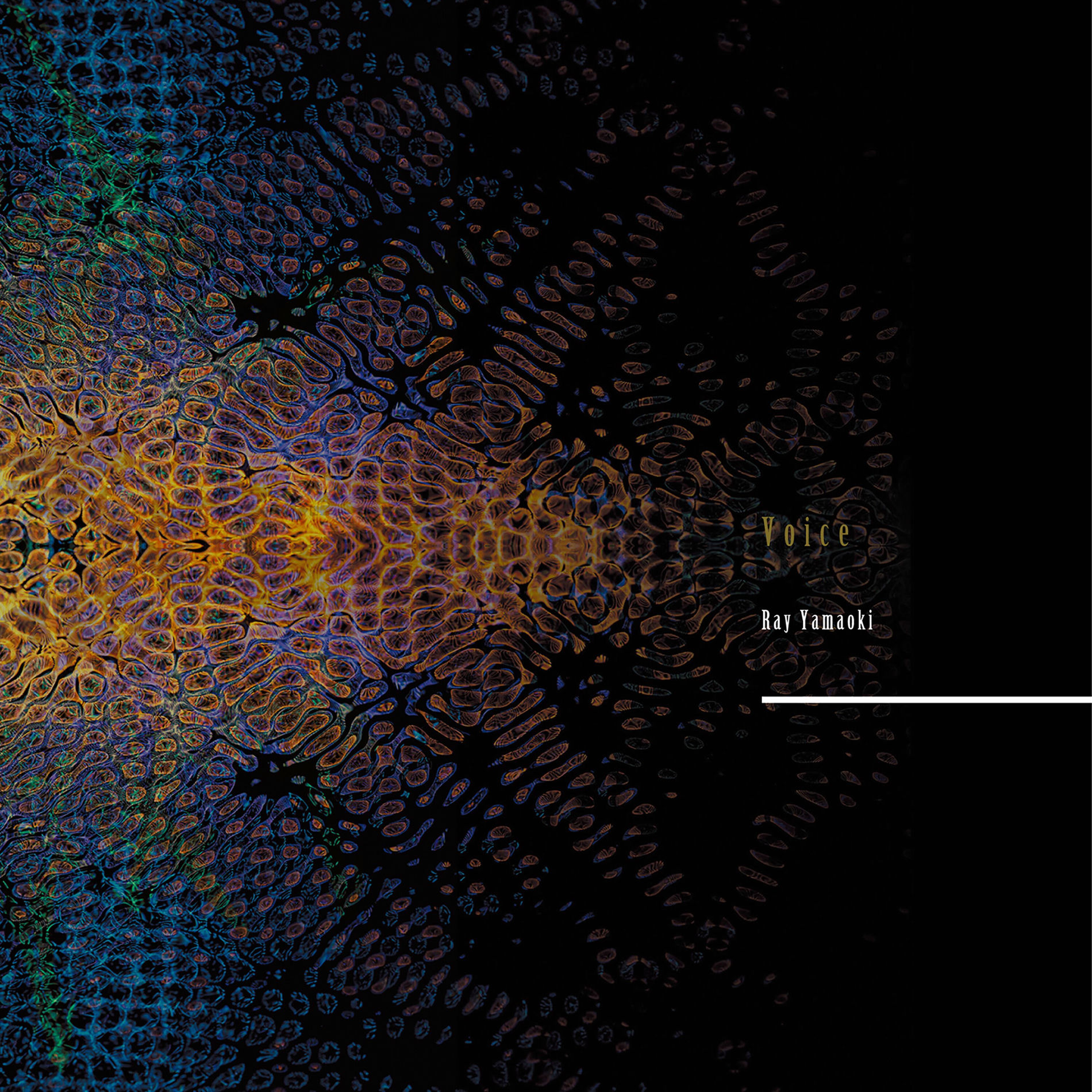 Album cover of Voice