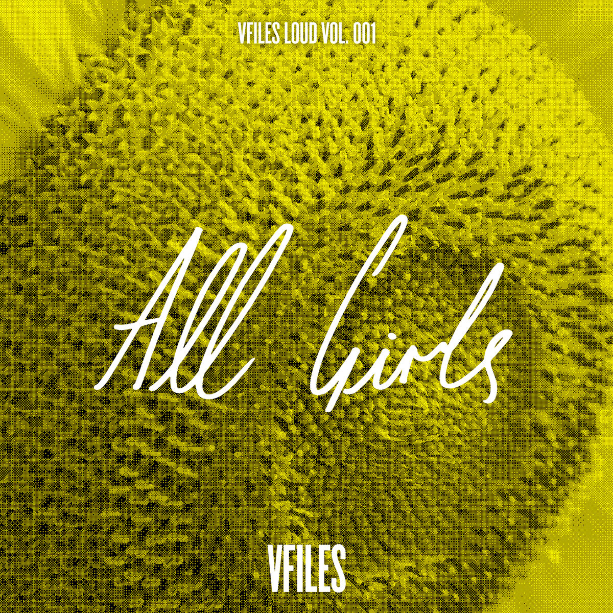 Album cover of VFILES LOUD (Vol. 1: All Girls)