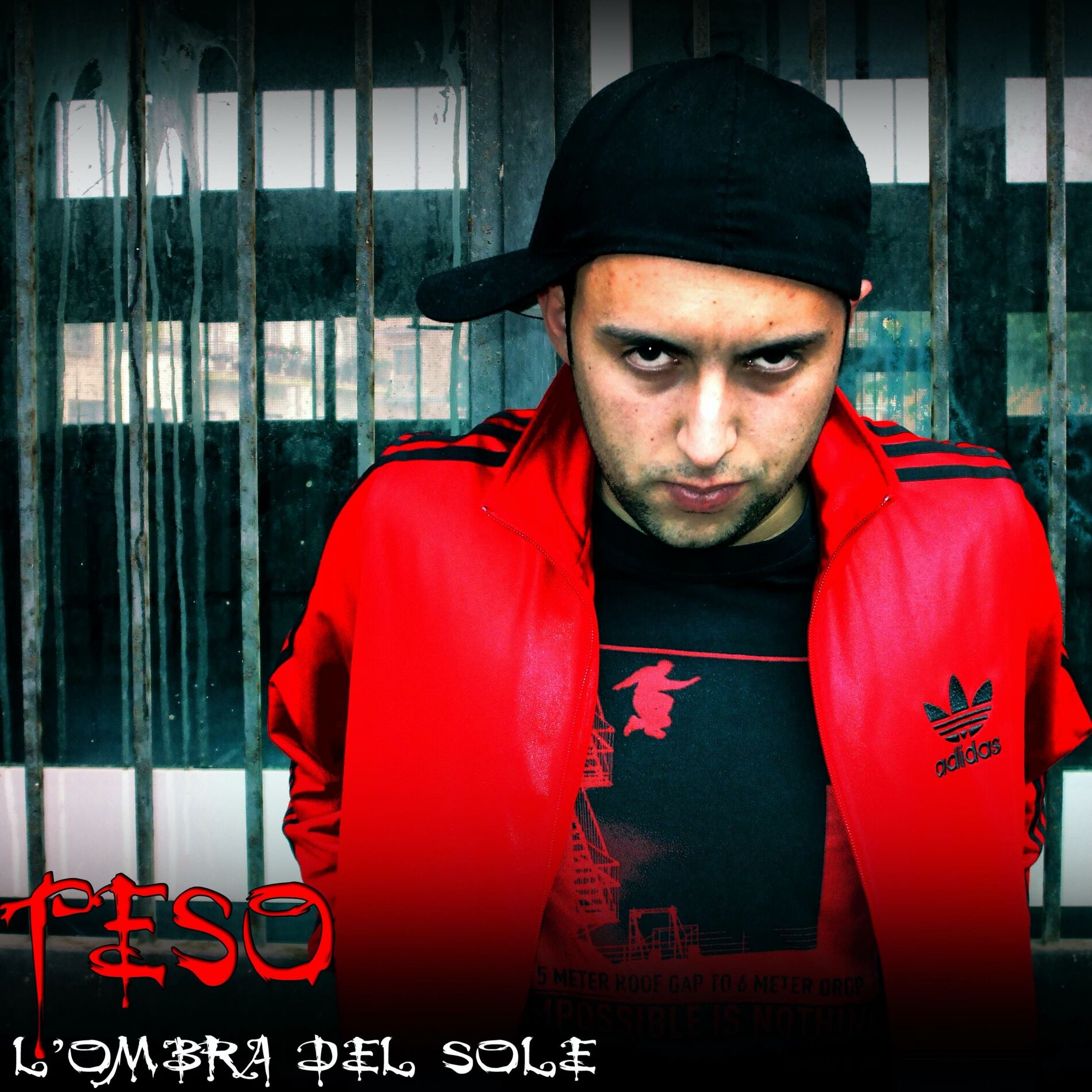 Album cover of L'ombra del sole
