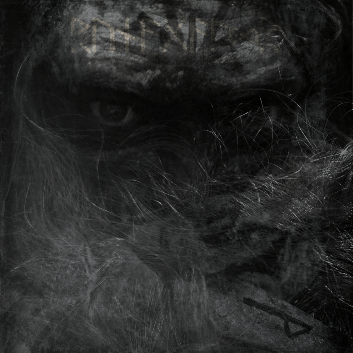 Album cover of Vikinger