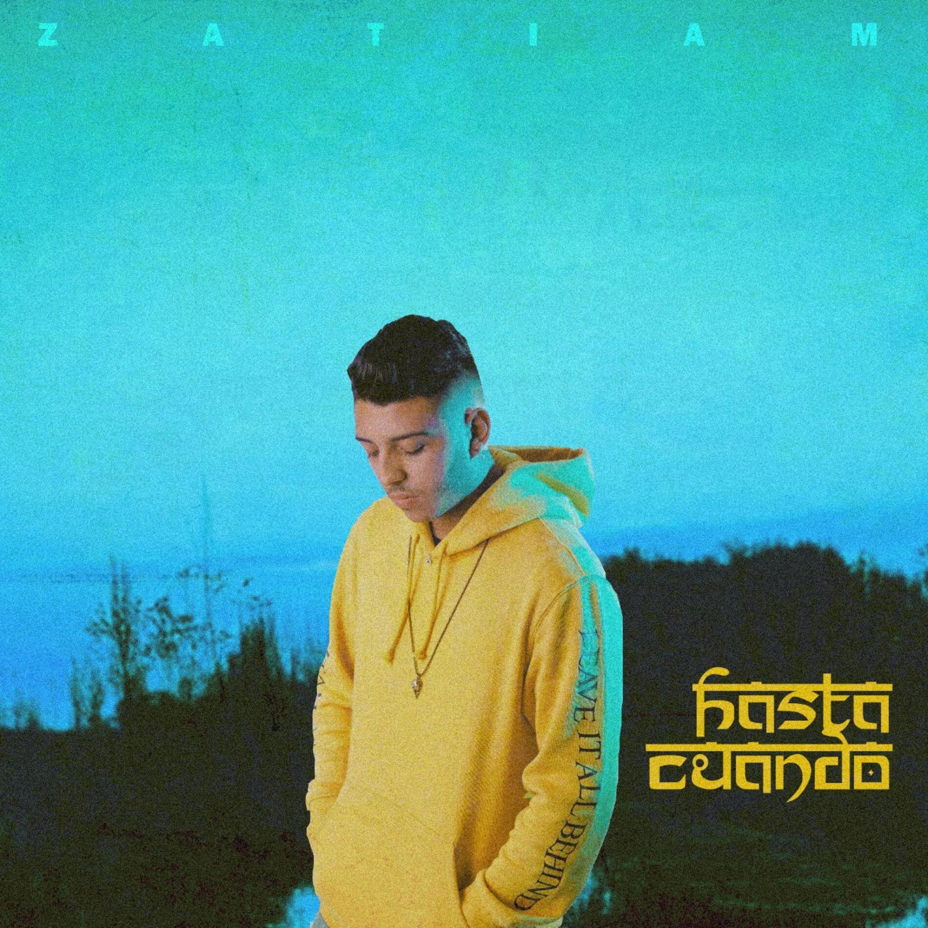 Album cover of Hasta Cuando