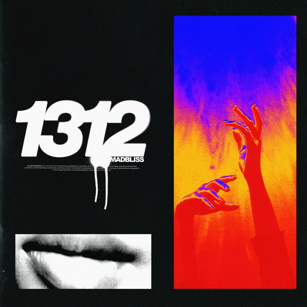Picture of 1312