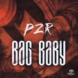 Cover of Bag Baby