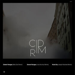 Cover of Mute City