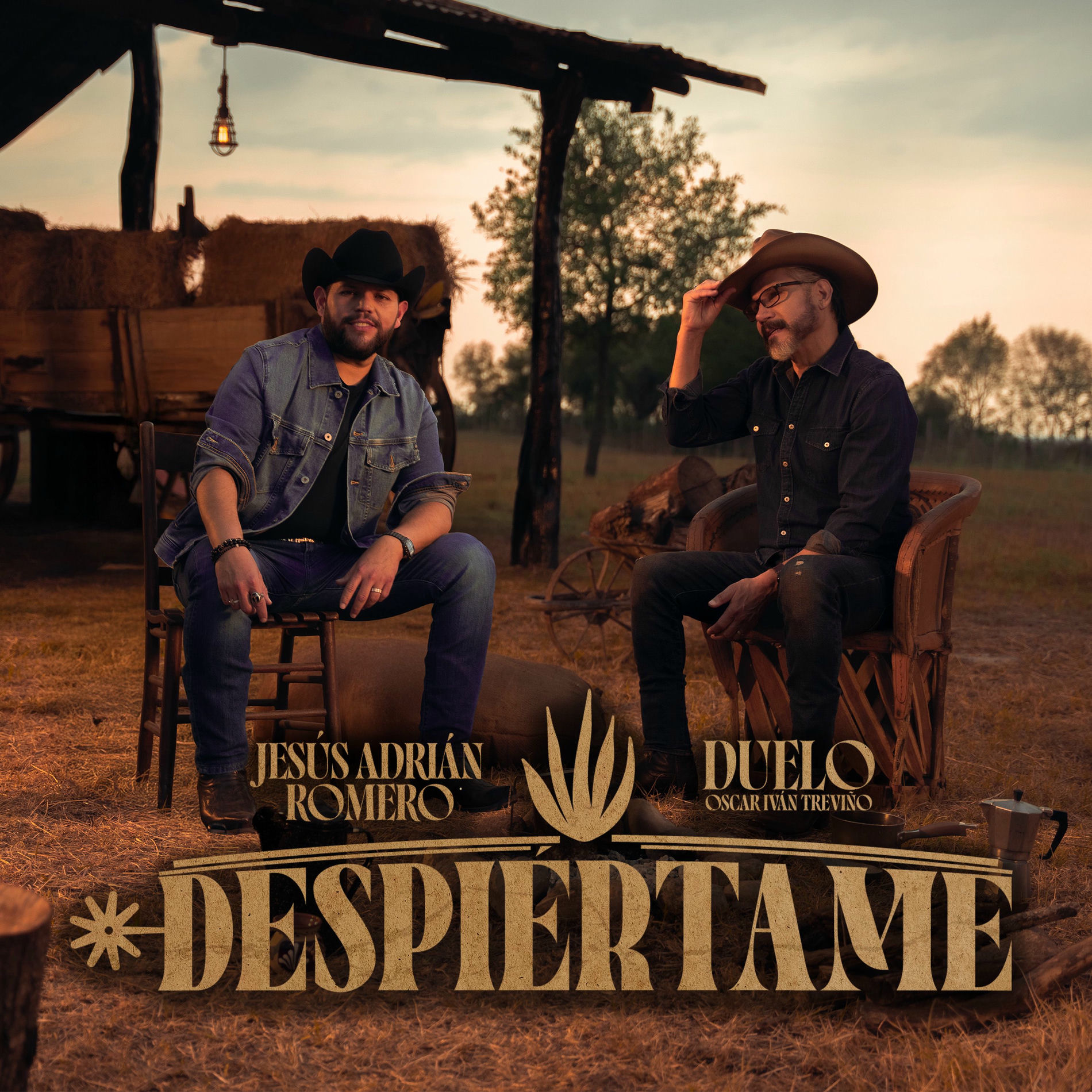 Album cover of Despiértame