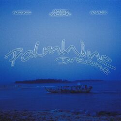 Cover of Palm Wine Dreamz