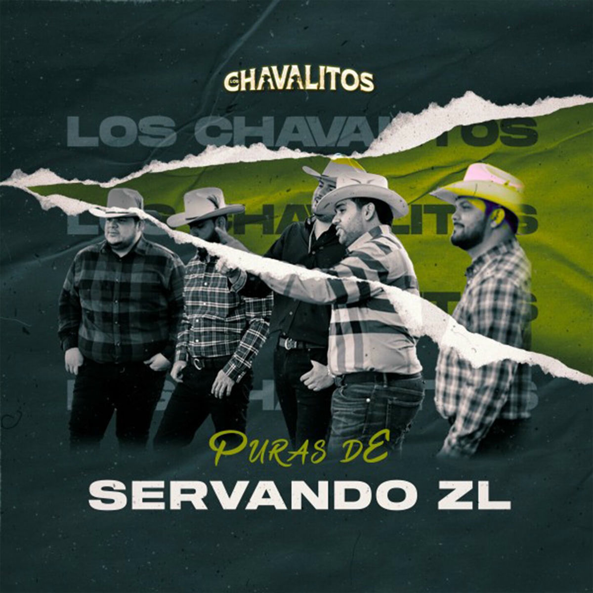 Album cover of Puras De Servando ZL (En Vivo)