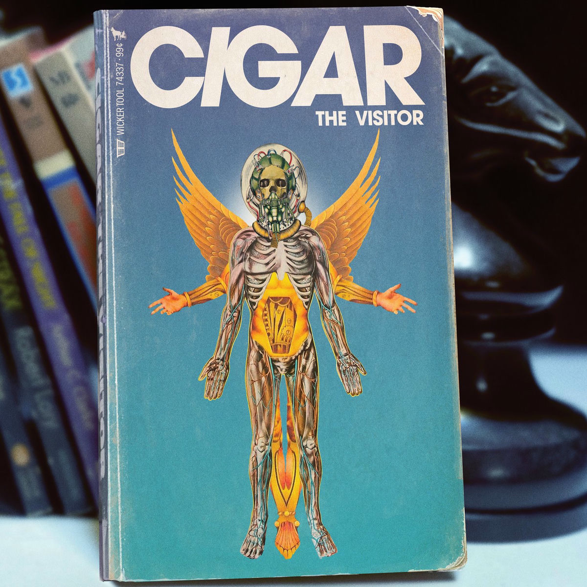 Album cover of The Visitor