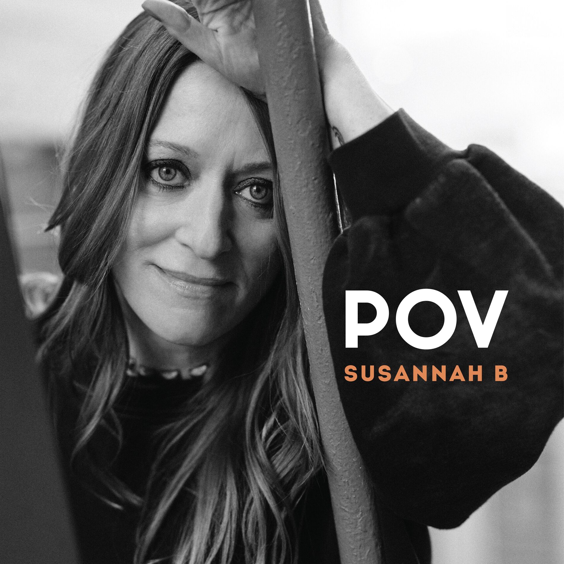 Album cover of POV