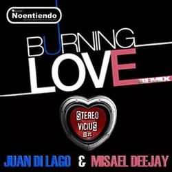 Cover of Burning Love Remix