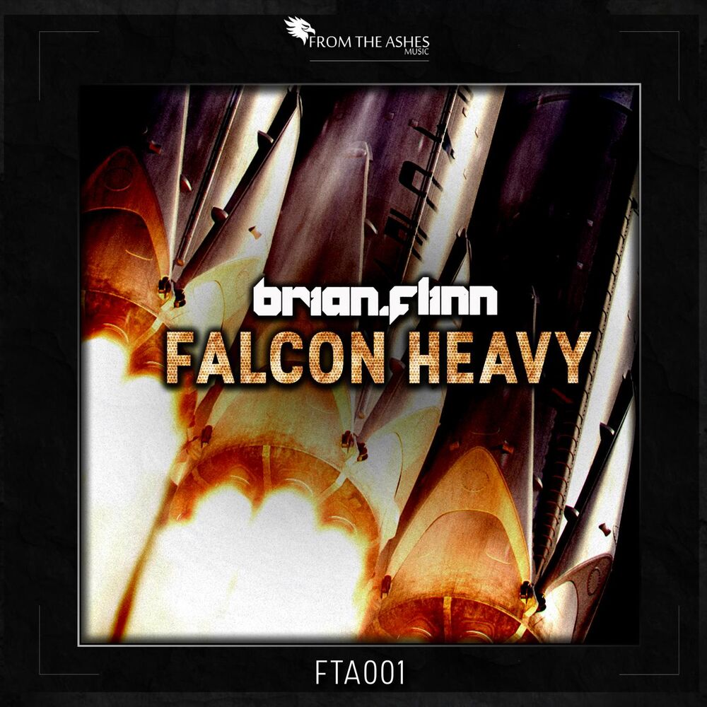 Picture of Falcon Heavy