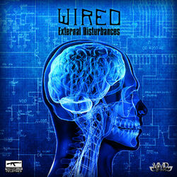 Cover of External Disturbances
