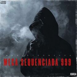 Cover of Mega Sequenciada 999