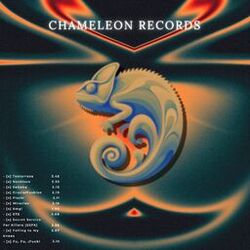 Cover of CHAMELEON RECORDS