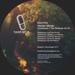 Cover of GOOSEPOPS The Remixes 02