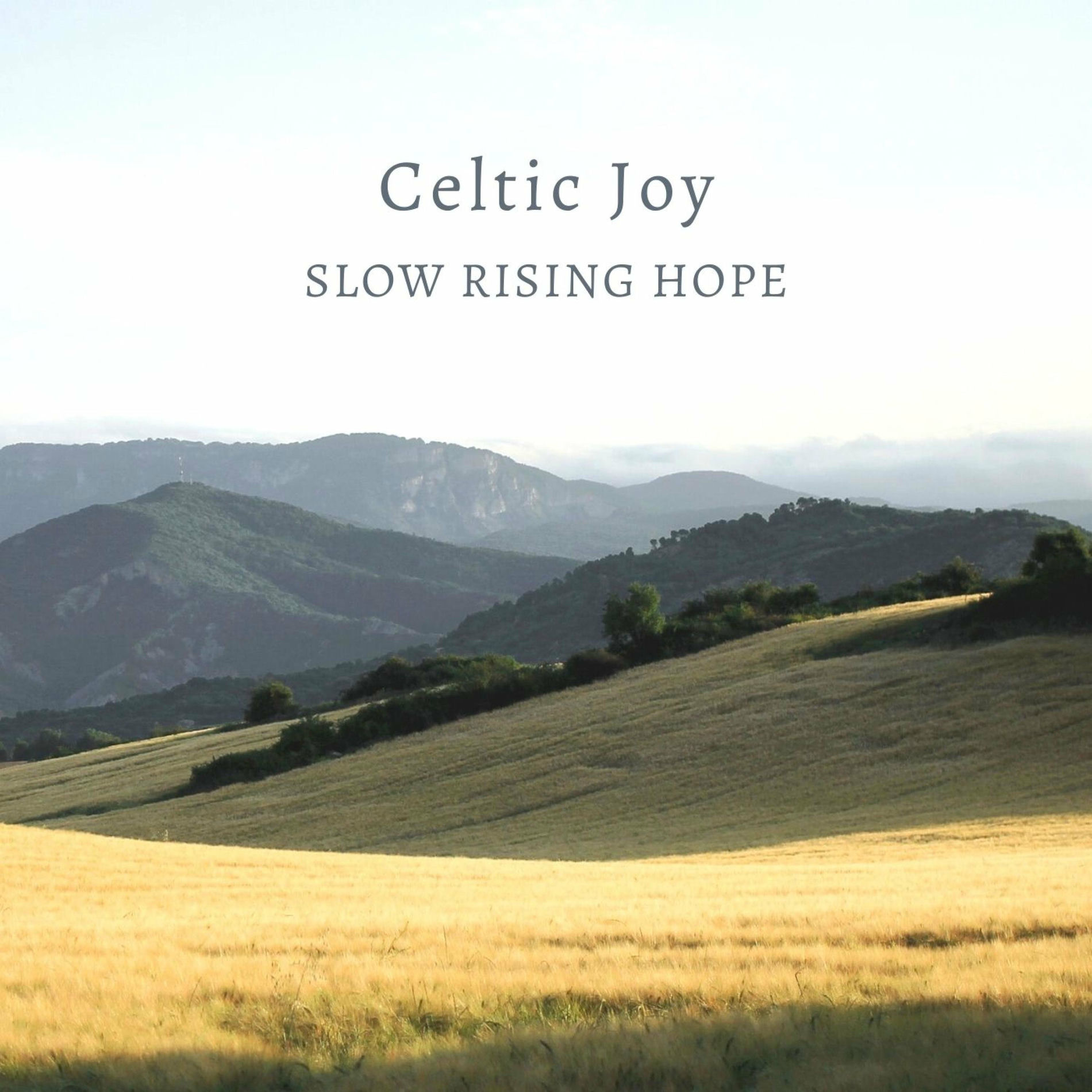 Album cover of Celtic Joy