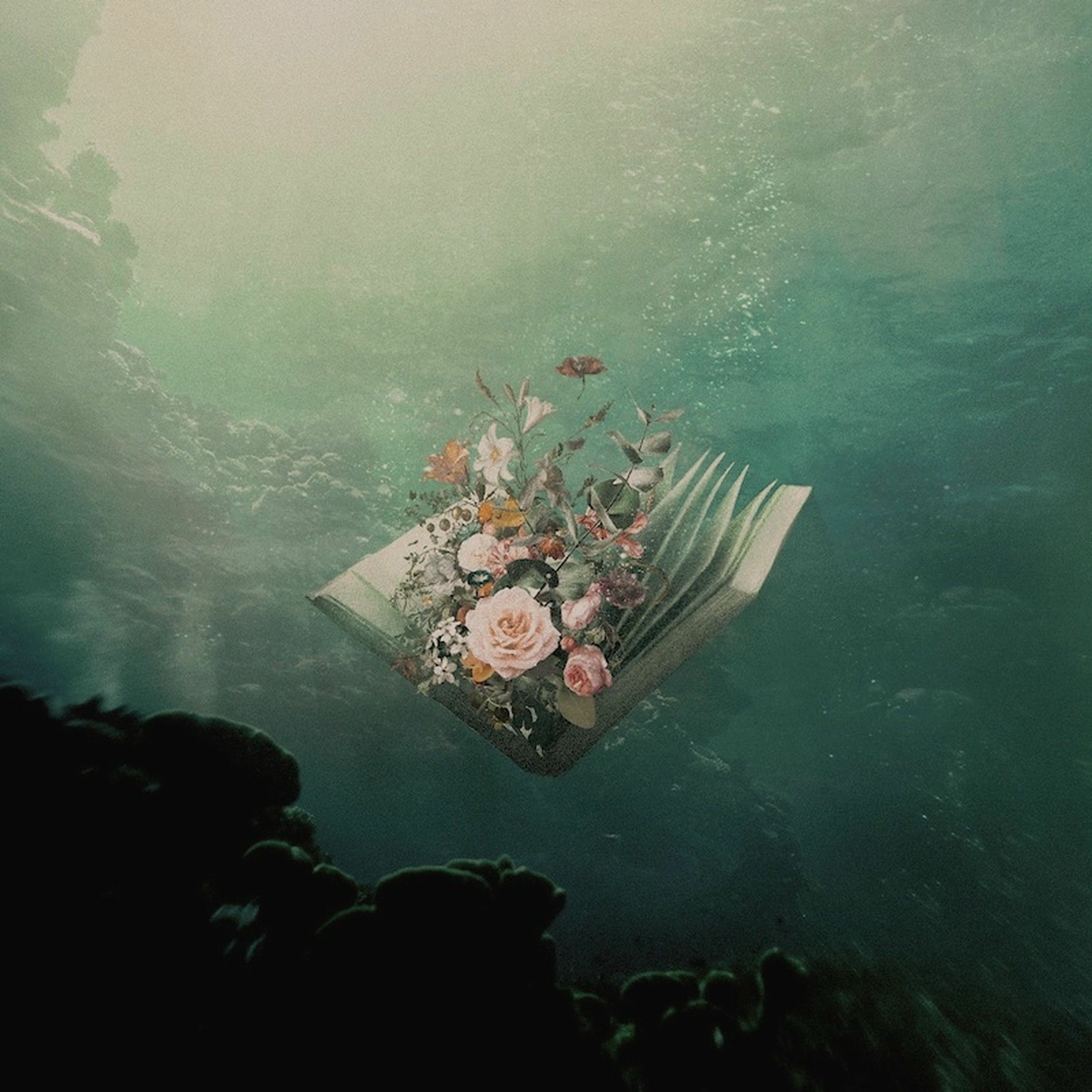 Album cover of Urban Flora: Lost Sequels