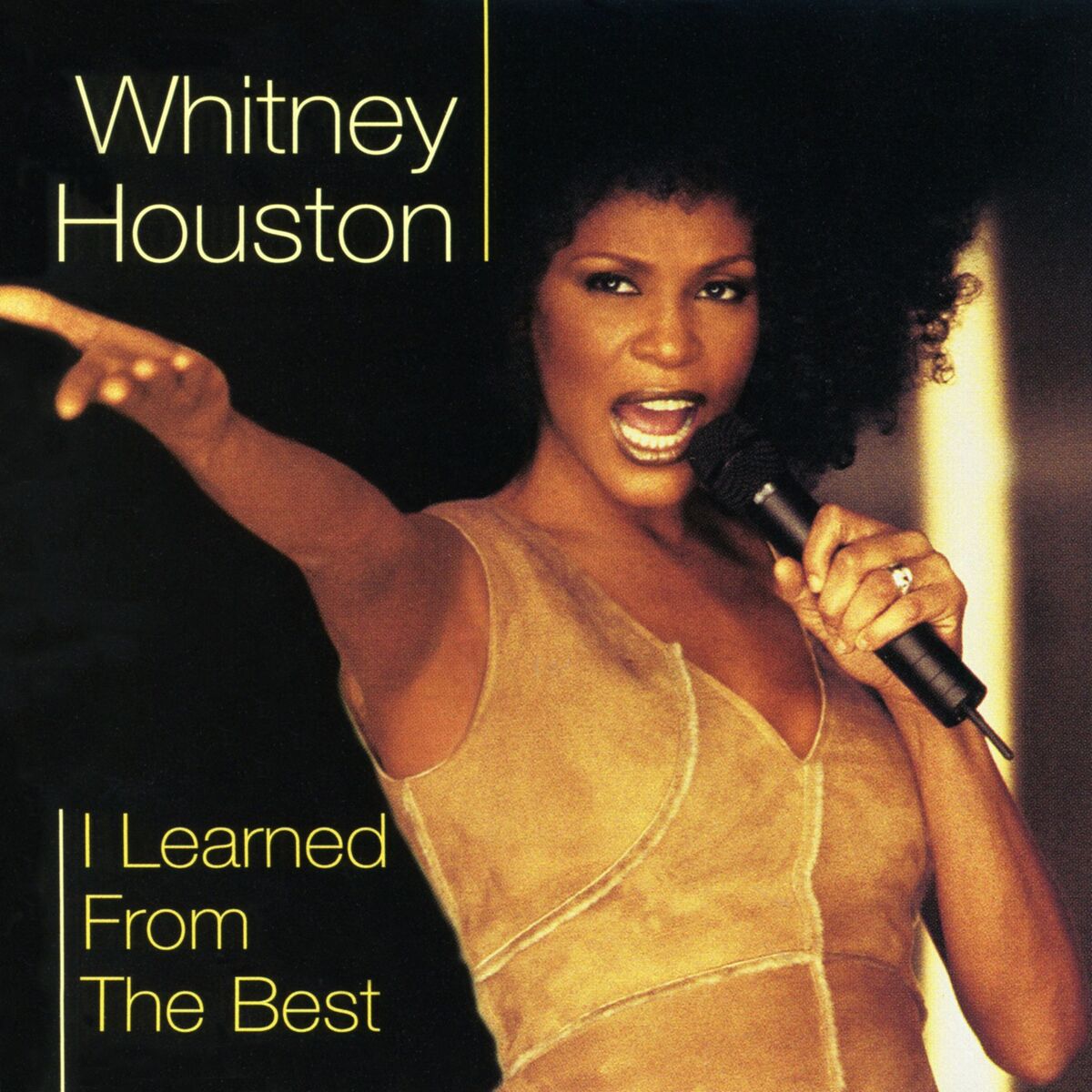 Album cover of Dance Vault Remixes - I Learned from the Best