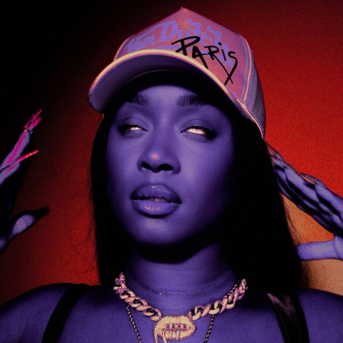 Album cover of PAPILLON