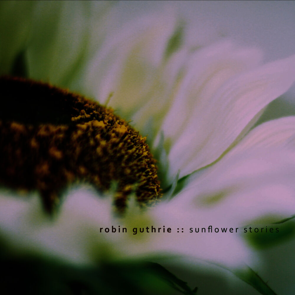 Picture of Sunflower Stories