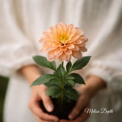 Cover of Thought Planted Carefully by undefined