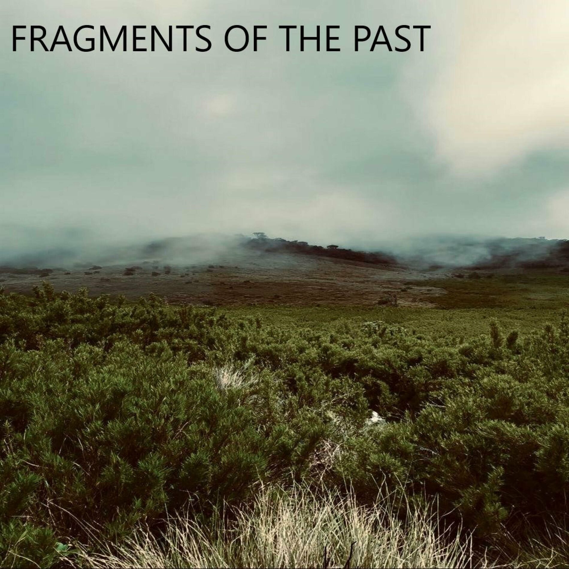 Album cover of Fragments Of The Past (feat. Daniel)