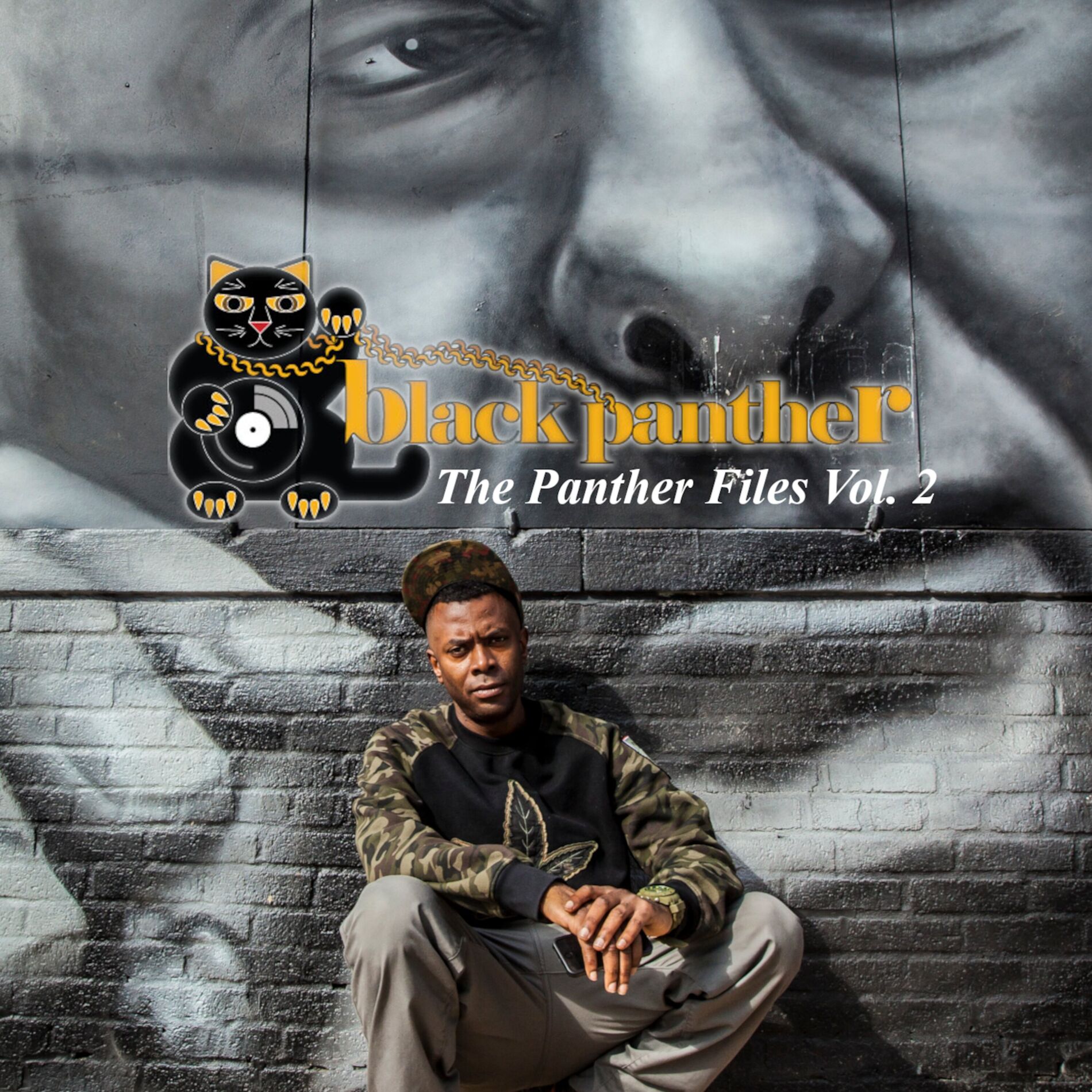 Album cover of The Panther Files Vol. 2