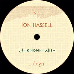 Cover of Unknown Wish
