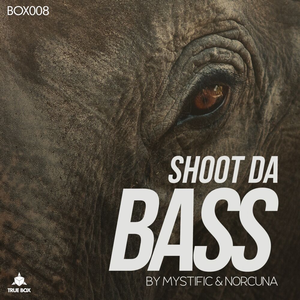 Picture of Shoot da Bass