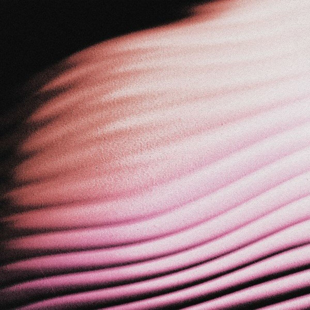 Album cover of Everywhere, Everything