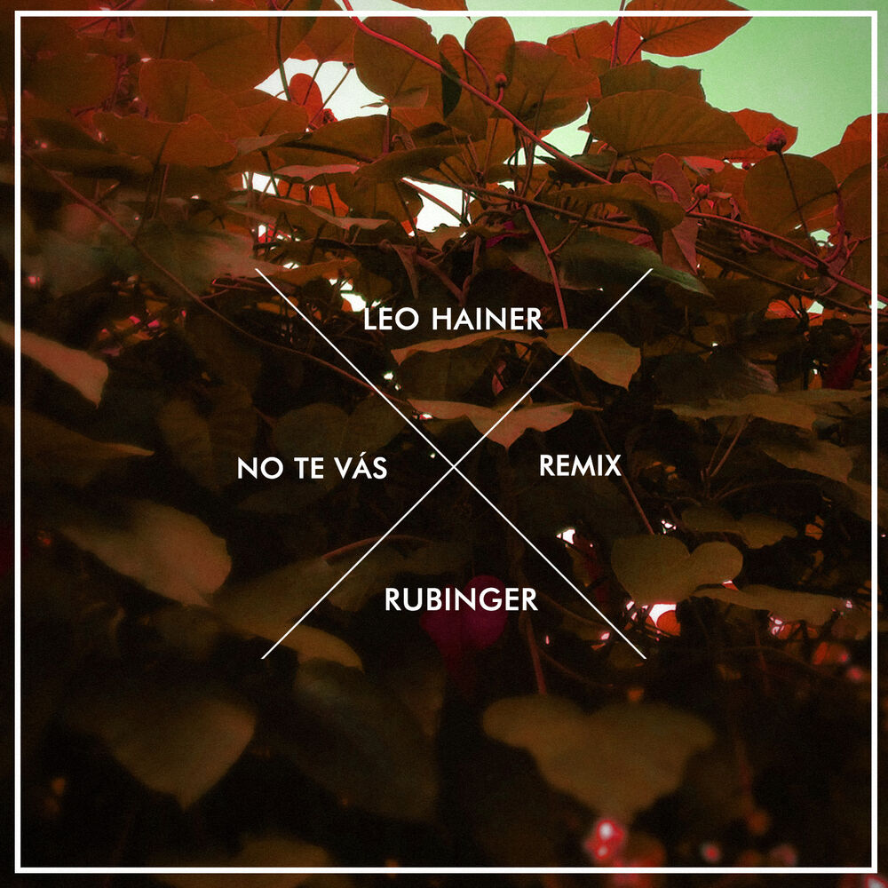 Picture of No Te Vás (Remix)