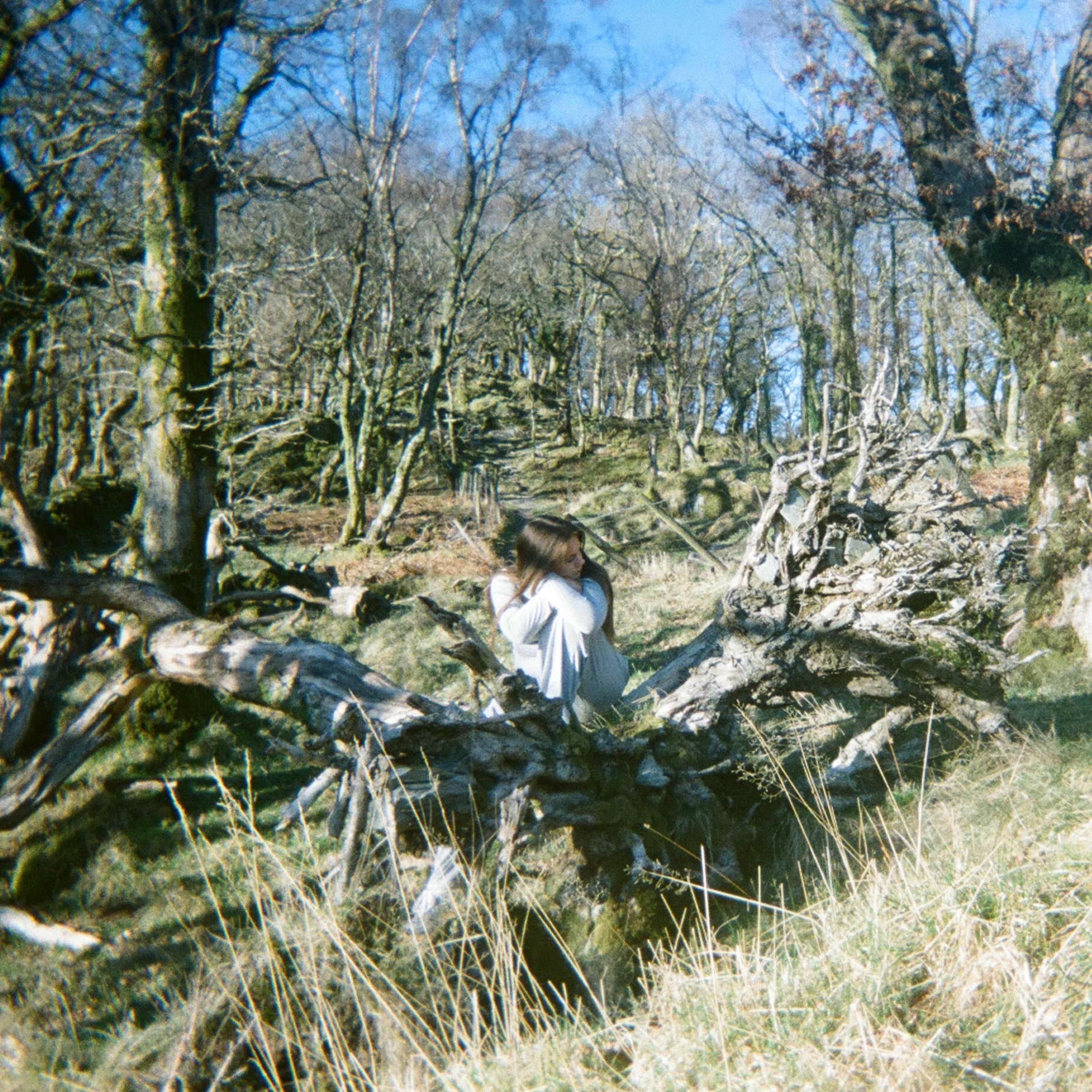 Album cover of Surface