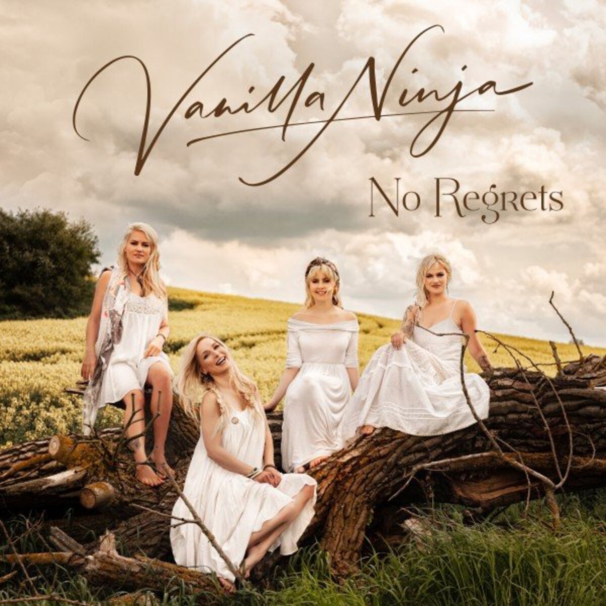 Album cover of No Regrets