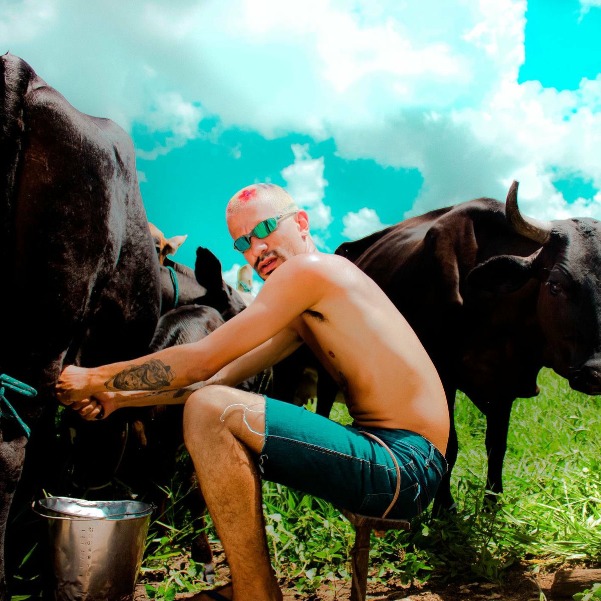 Album cover of Gangsta da Roça
