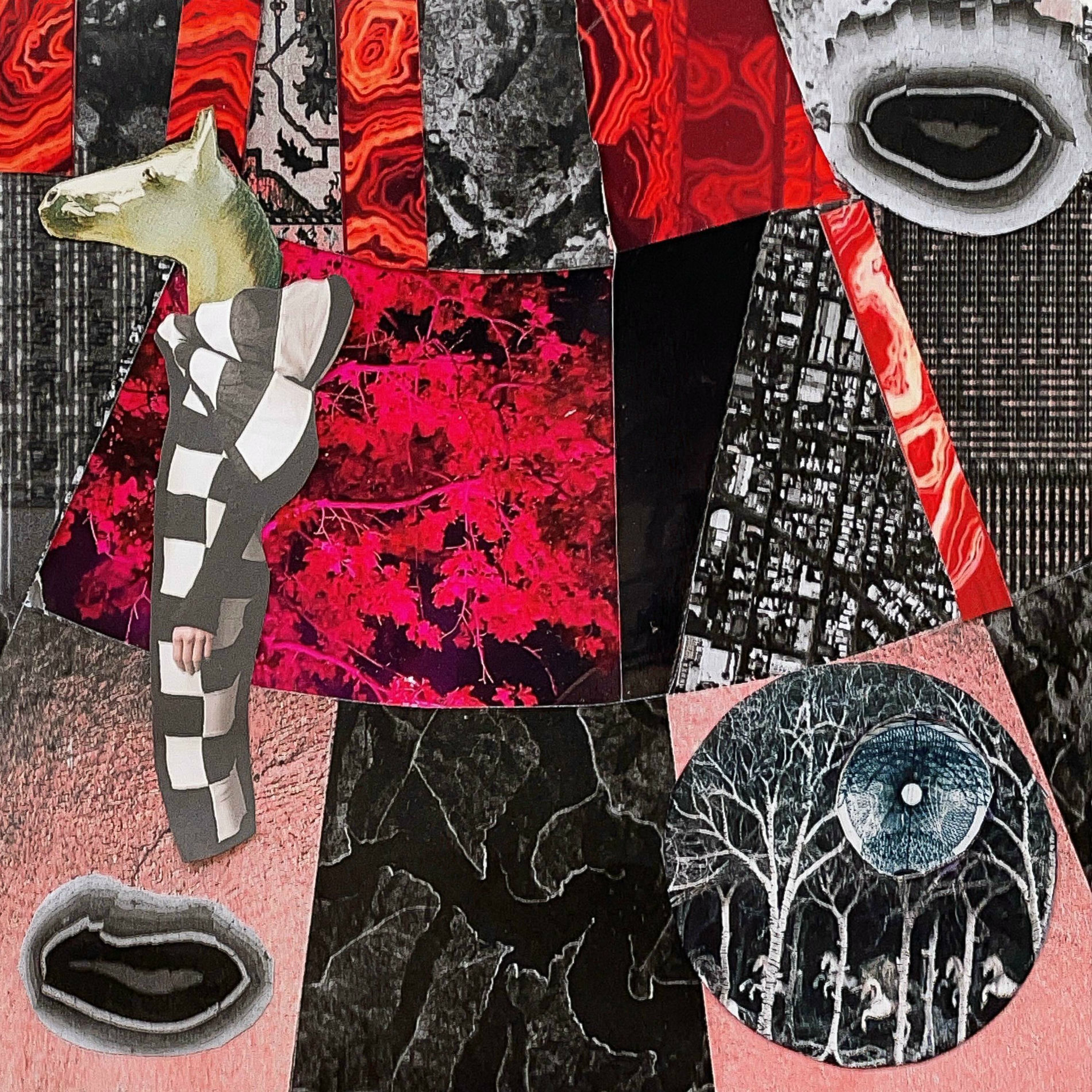 Album cover of EQUIDIA